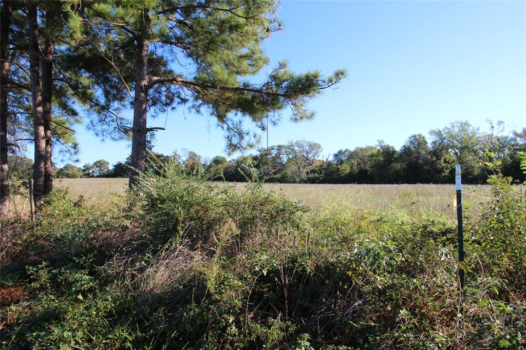 TBD Lot 10 And 11 Fm 645, Tennessee Colony, Texas image 10