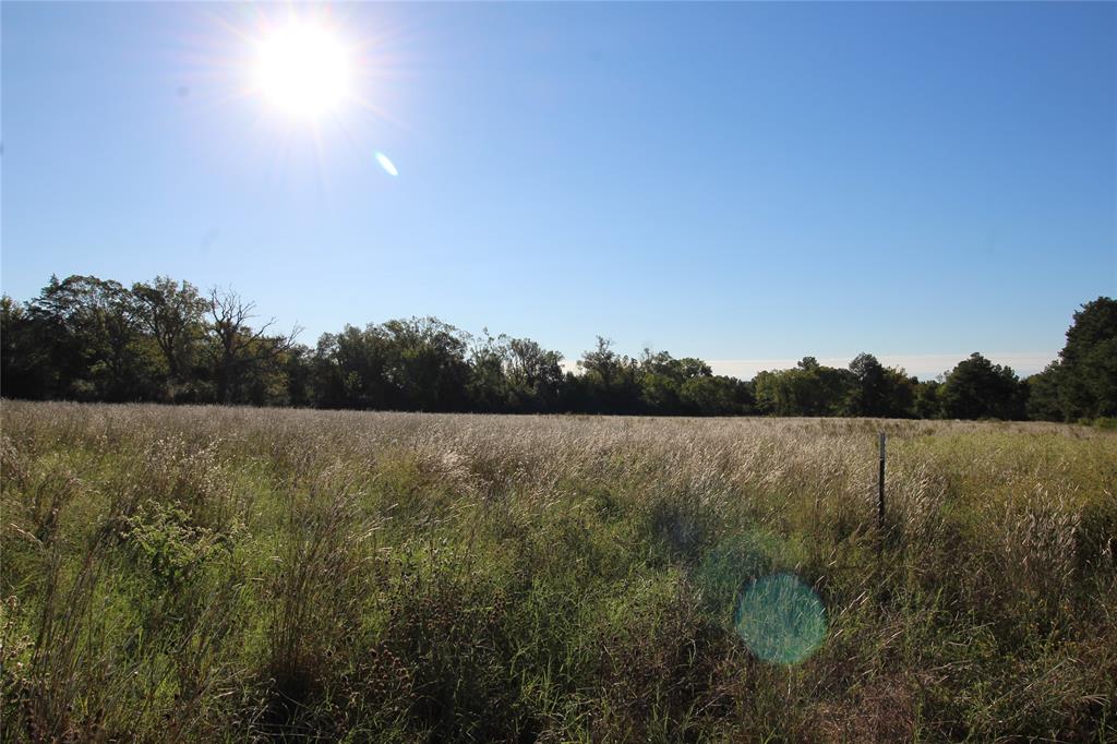 TBD Lot 10 And 11 Fm 645, Tennessee Colony, Texas image 14