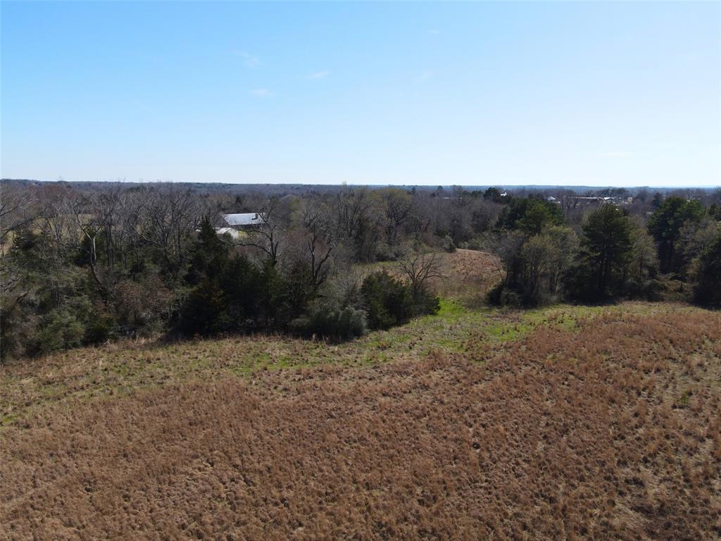 TBD Lot 10 And 11 Fm 645, Tennessee Colony, Texas image 7