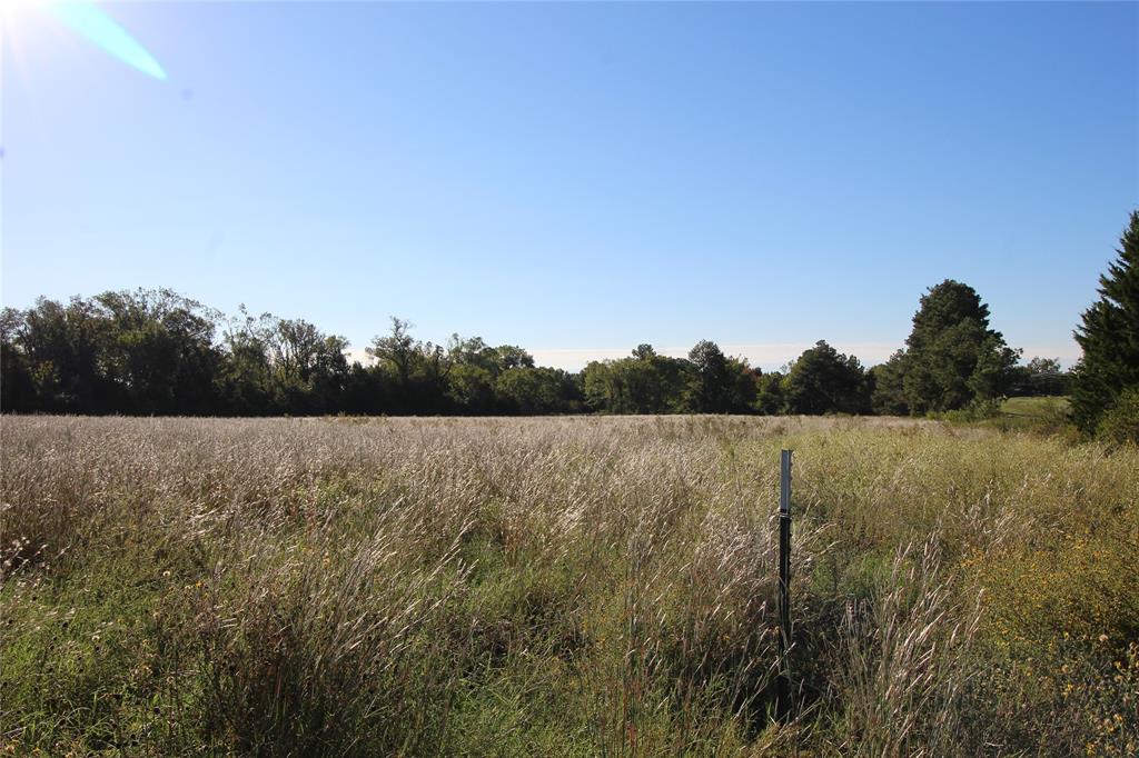 TBD Lot 10 And 11 Fm 645, Tennessee Colony, Texas image 15