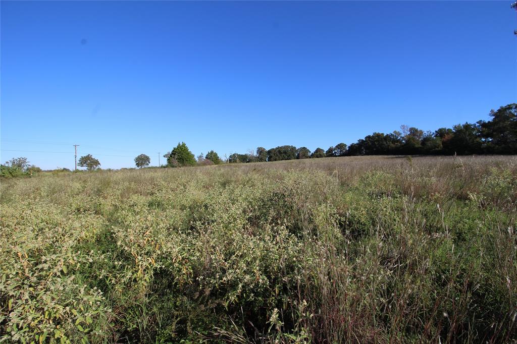 TBD Lot 10 And 11 Fm 645, Tennessee Colony, Texas image 11