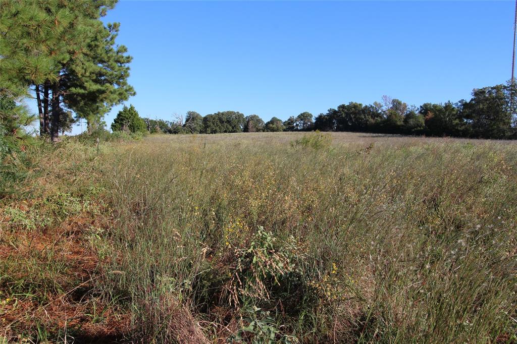 TBD Lot 10 And 11 Fm 645, Tennessee Colony, Texas image 8