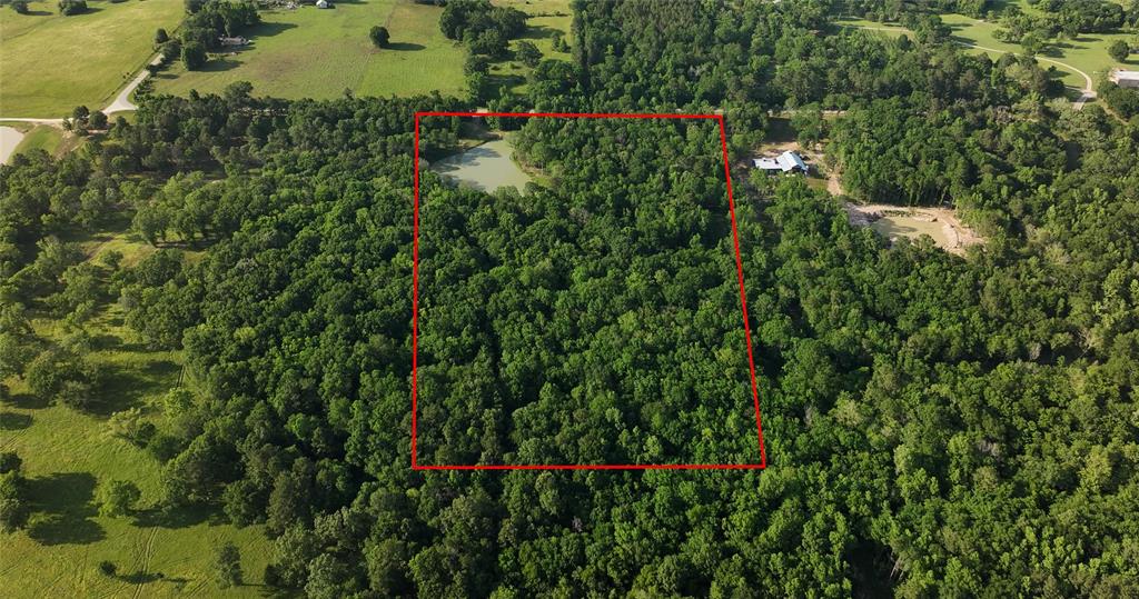 23017 Bailey Grove Rd Rd, Montgomery, Texas image 7