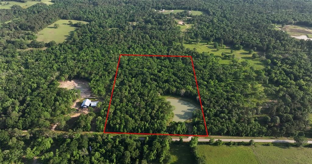 23017 Bailey Grove Rd Rd, Montgomery, Texas image 1