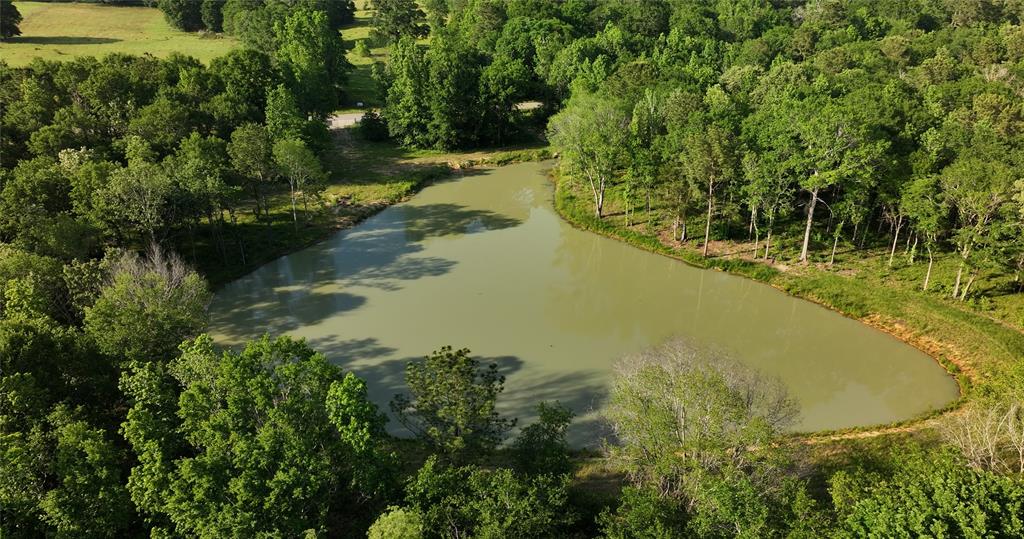 23017 Bailey Grove Rd Rd, Montgomery, Texas image 3