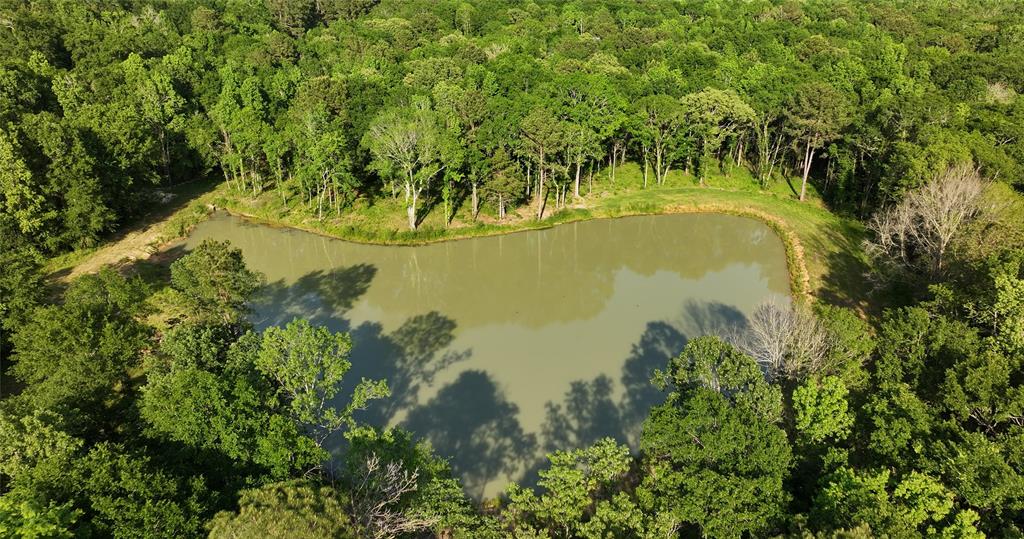 23017 Bailey Grove Rd Rd, Montgomery, Texas image 5