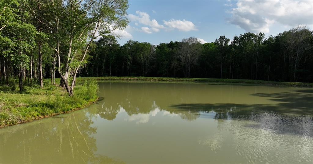 23017 Bailey Grove Rd Rd, Montgomery, Texas image 29