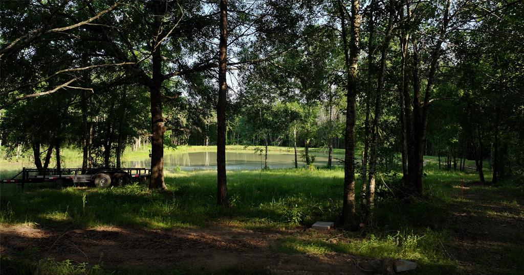 23017 Bailey Grove Rd Rd, Montgomery, Texas image 13