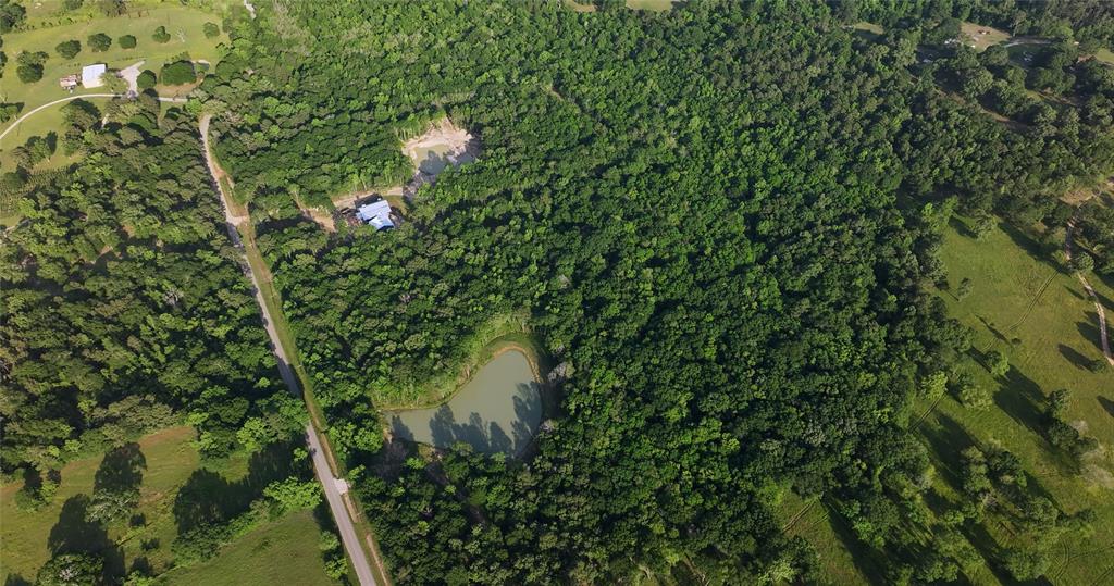 23017 Bailey Grove Rd Rd, Montgomery, Texas image 32