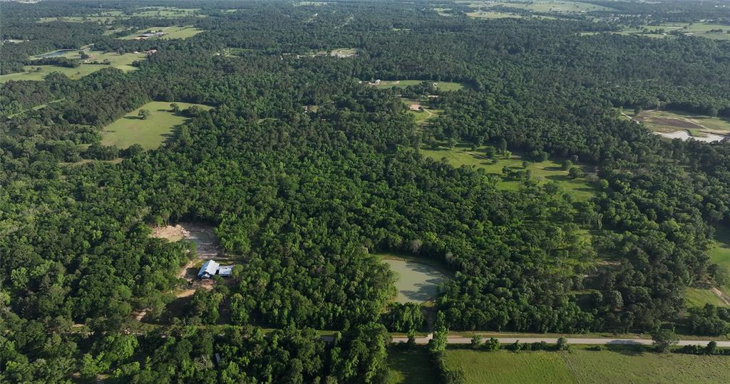 23017 Bailey Grove Rd Rd, Montgomery, Texas image 6