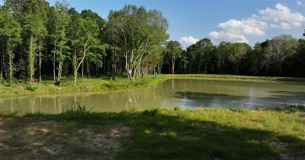 23017 Bailey Grove Rd Rd, Montgomery, Texas image 31