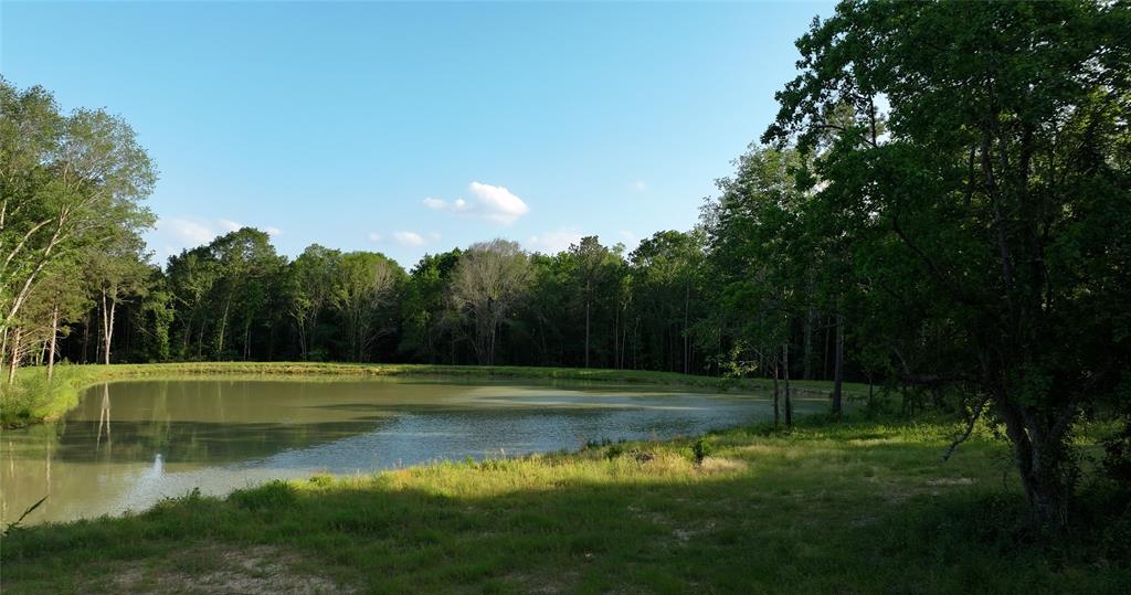 23017 Bailey Grove Rd Rd, Montgomery, Texas image 4