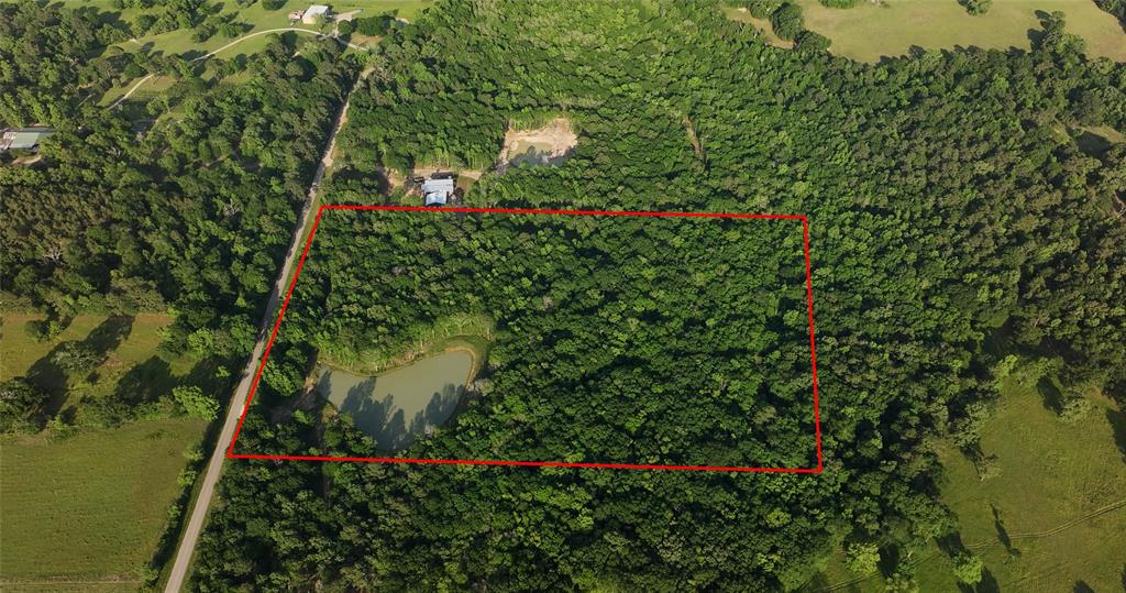 23017 Bailey Grove Rd Rd, Montgomery, Texas image 2