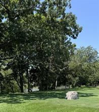 30610 Lower Oxbow Trace Trce, Fulshear, Texas image 8