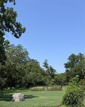 30610 Lower Oxbow Trace Trce, Fulshear, Texas image 7