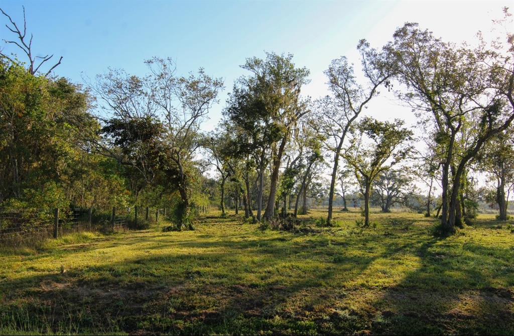 County Road 358, Brazoria, Texas image 3