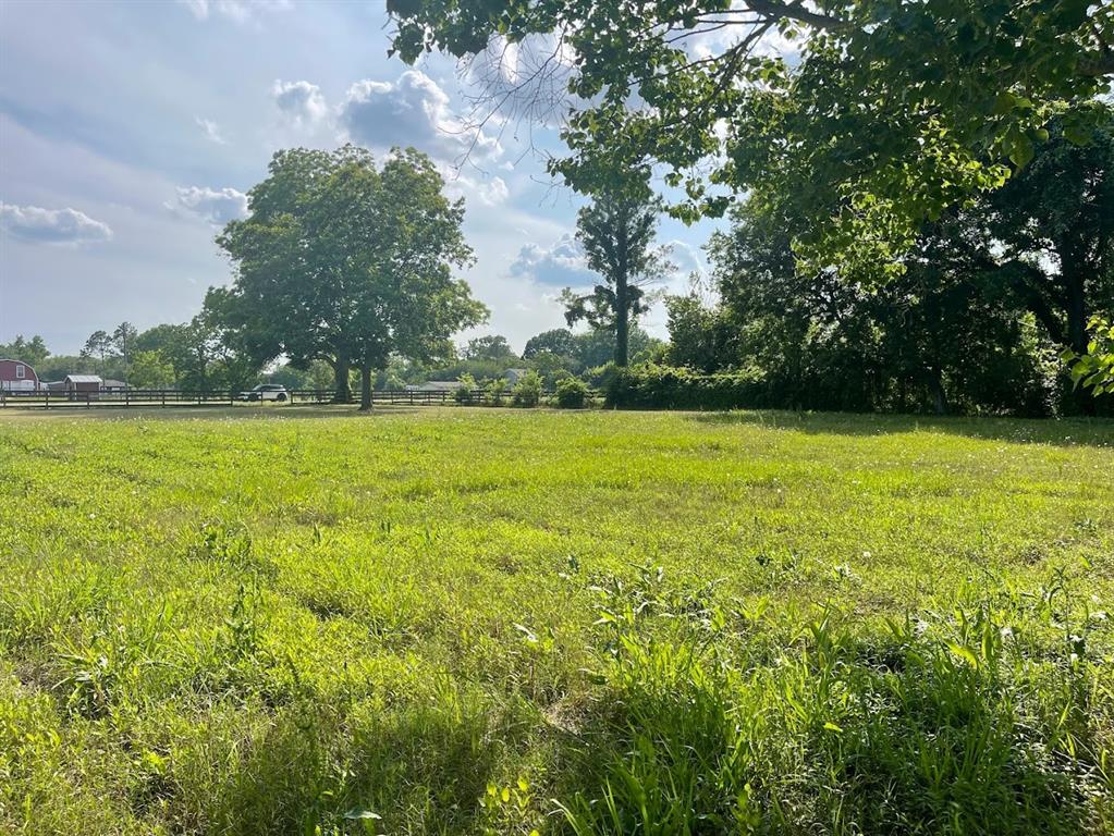 Broncho Road, Simonton, Texas image 6