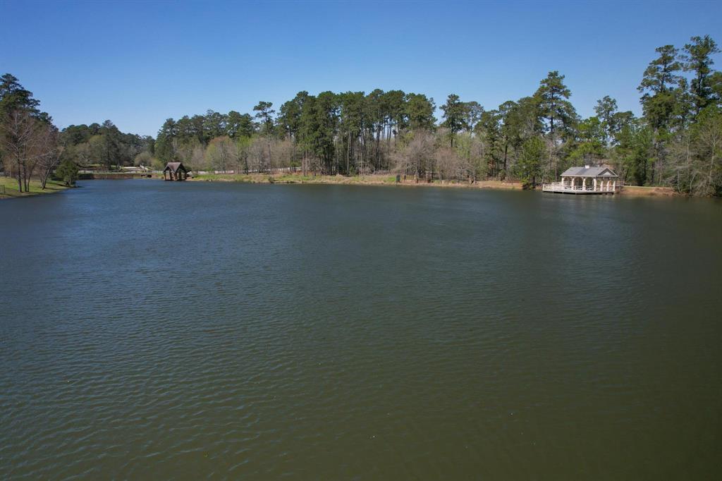 10326 Hunter Creek Lane, Conroe, Texas image 48