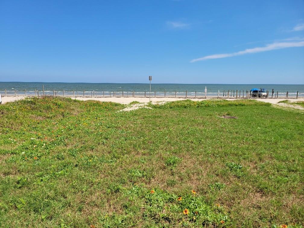 Bermuda Beach, Galveston, Texas image 7