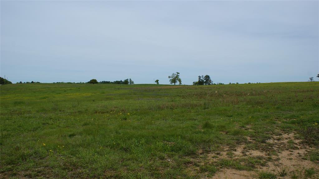 LOT 33 Fm 2712, Crockett, Texas image 3