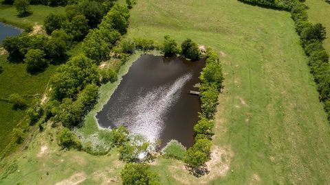 Photo of 21547 Binford Road, Waller, TX 77484 (MLS # 25588792)