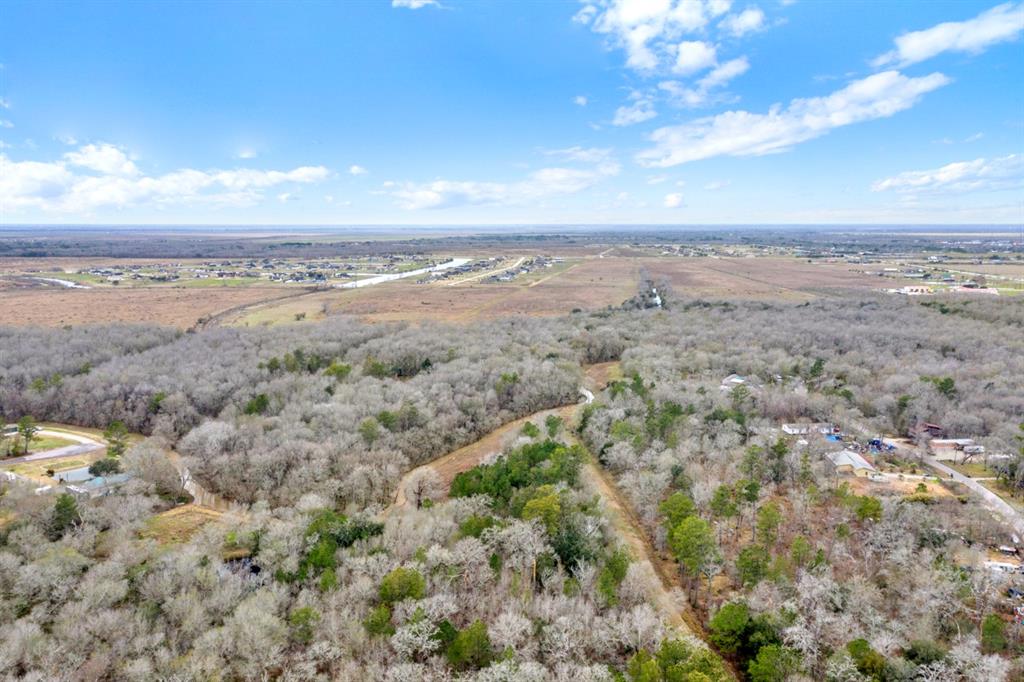 XX Eunice Lane, Alvin, Texas image 9