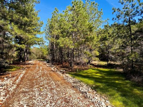 11408 County Road 351, Plantersville, TX 77363 - #: 45655869