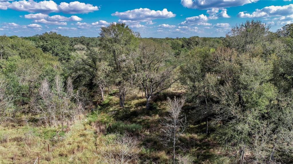 503 Berry Creek Drive, Caldwell, Texas image 12