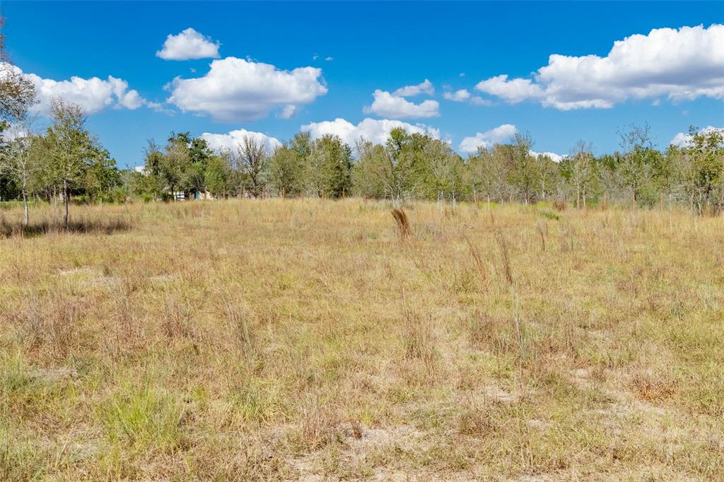 503 Berry Creek Drive, Caldwell, Texas image 17