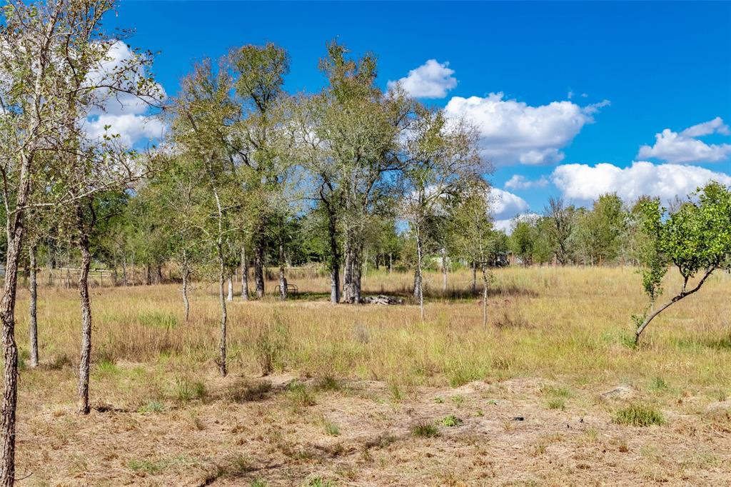 503 Berry Creek Drive, Caldwell, Texas image 7