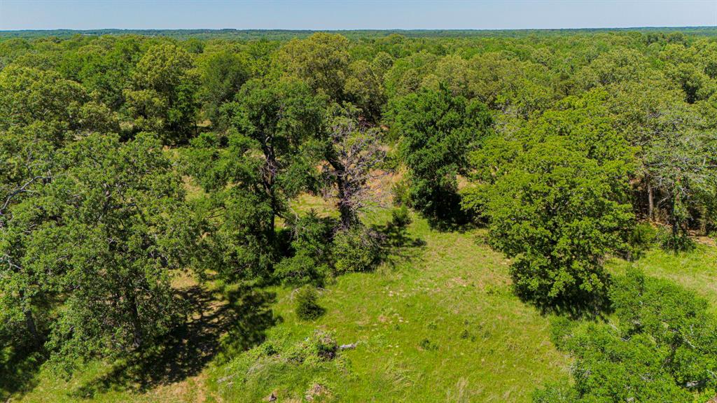 1087 Fm 489, Oakwood, Texas image 10