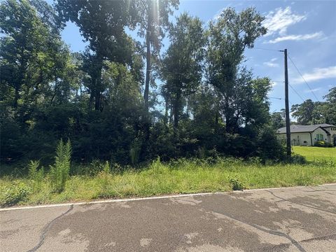 Photo of 2 Overcup Drive, Spring, TX 77389 (MLS # 89175067)