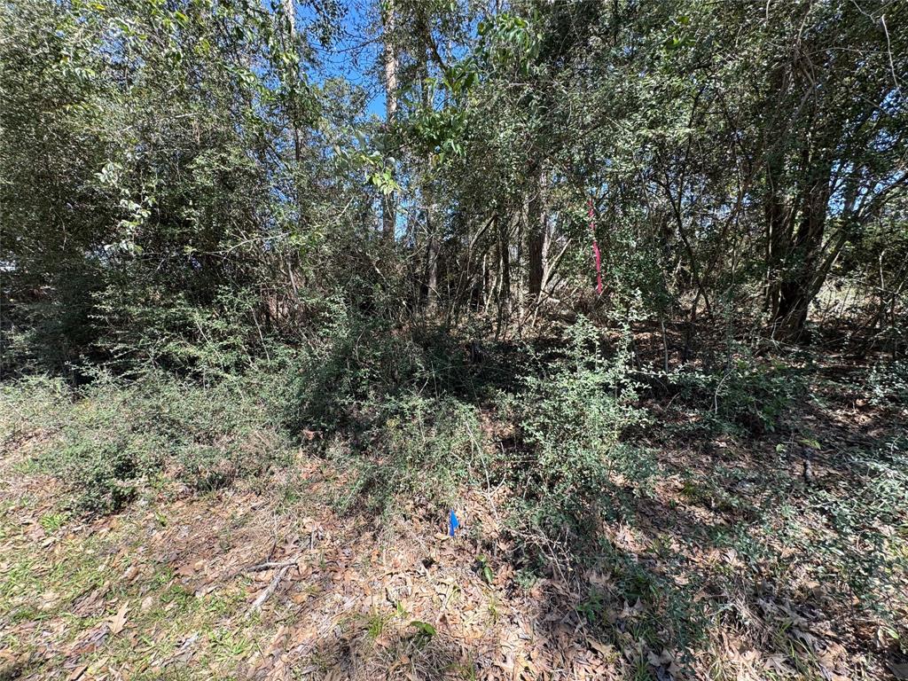 LOT 206 Coushatta, Onalaska, Texas image 5