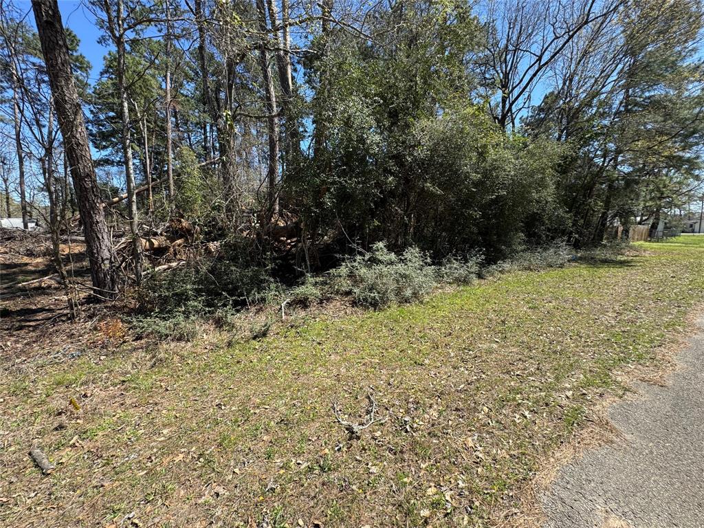 LOT 206 Coushatta, Onalaska, Texas image 2