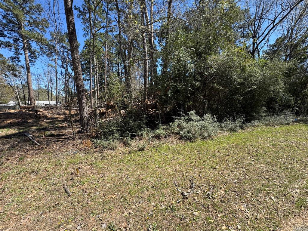 LOT 206 Coushatta, Onalaska, Texas image 1