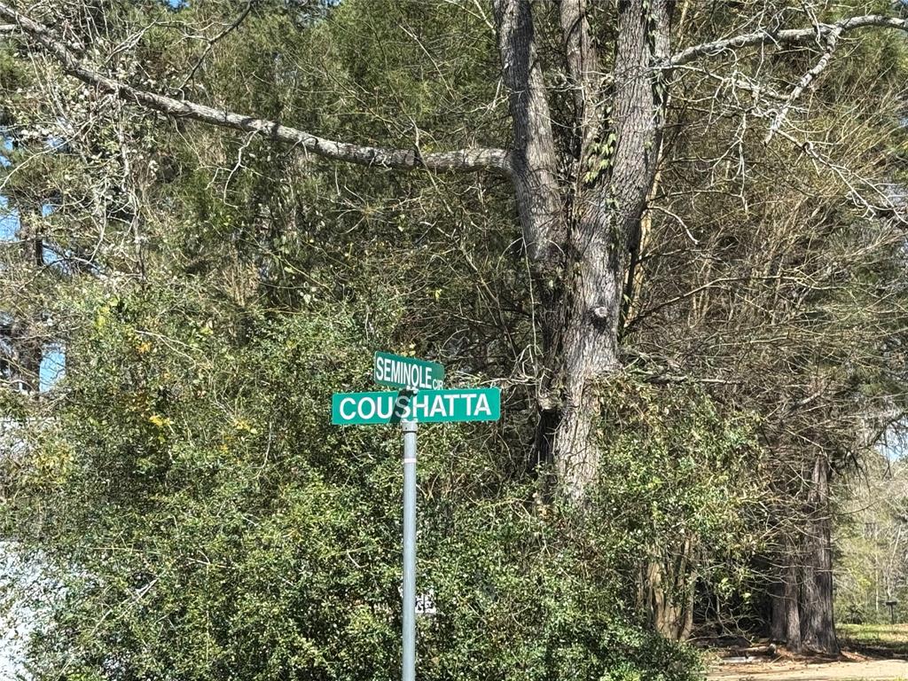 LOT 206 Coushatta, Onalaska, Texas image 8