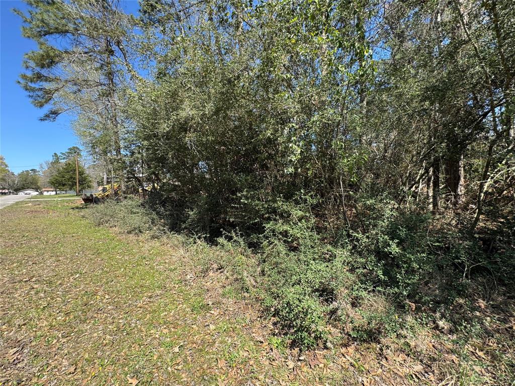 LOT 206 Coushatta, Onalaska, Texas image 6
