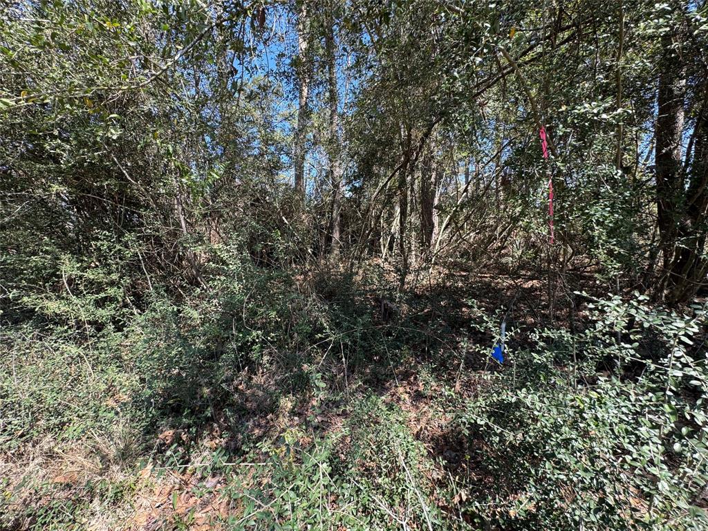 LOT 206 Coushatta, Onalaska, Texas image 3