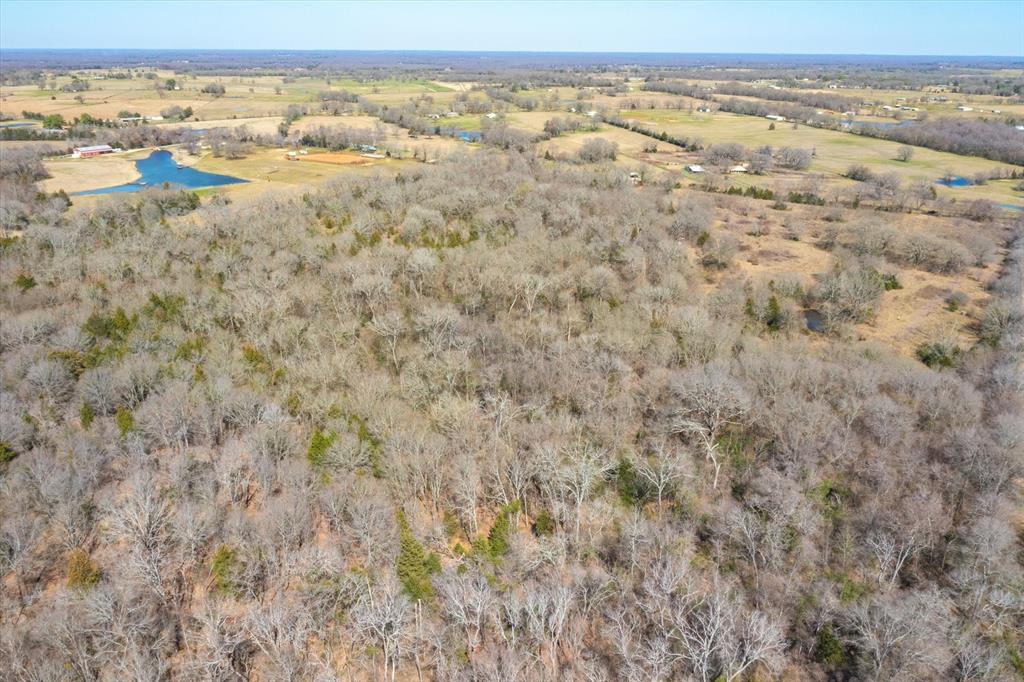 51.72+/- Acres Vz County Road 1121, Grand Saline, Texas image 17