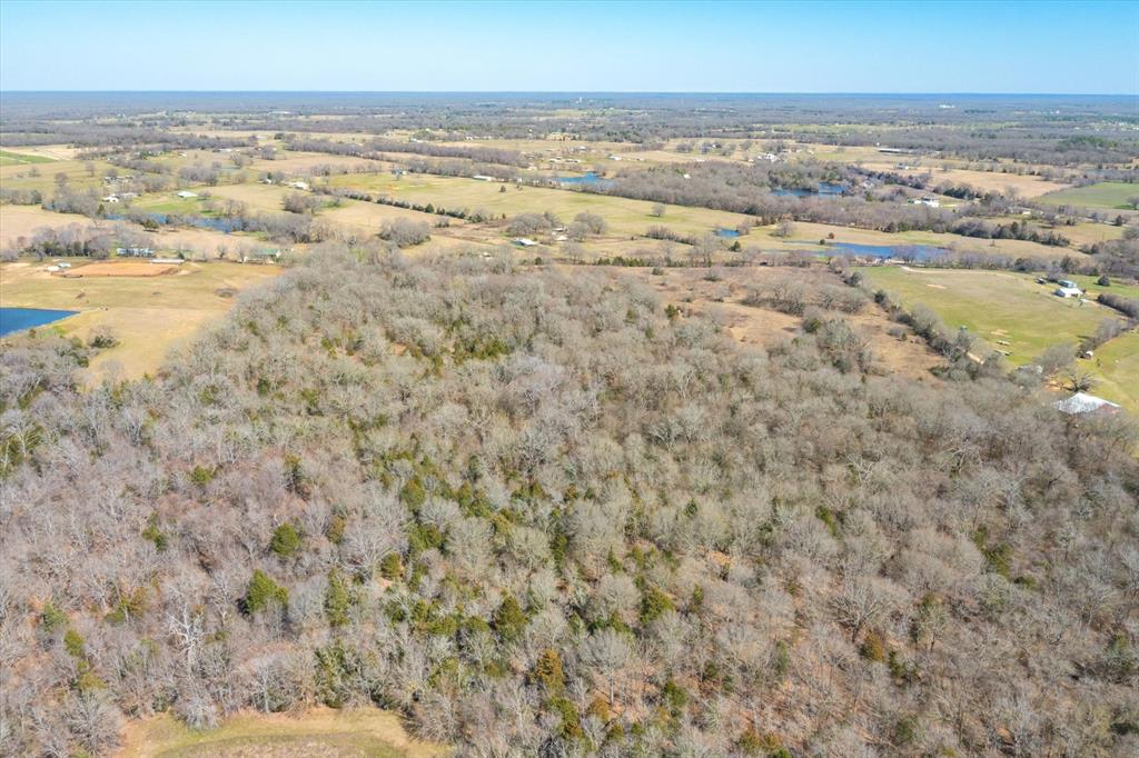 51.72+/- Acres Vz County Road 1121, Grand Saline, Texas image 14