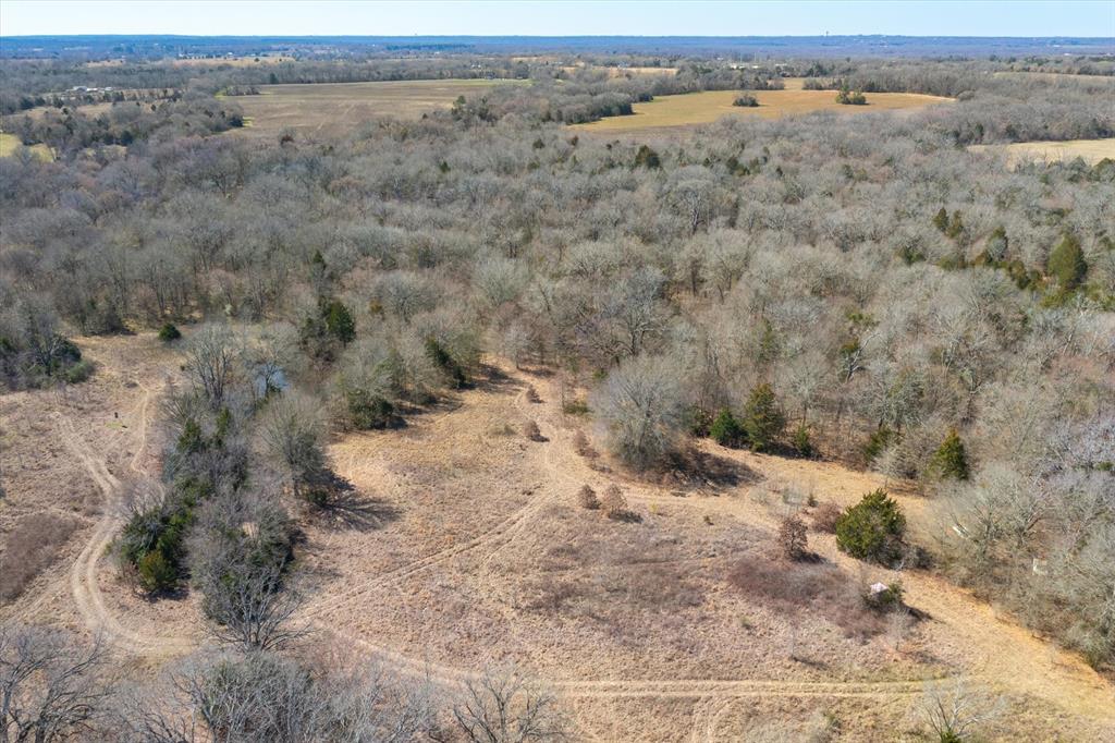 51.72+/- Acres Vz County Road 1121, Grand Saline, Texas image 10