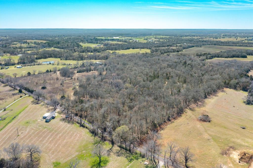 51.72+/- Acres Vz County Road 1121, Grand Saline, Texas image 7