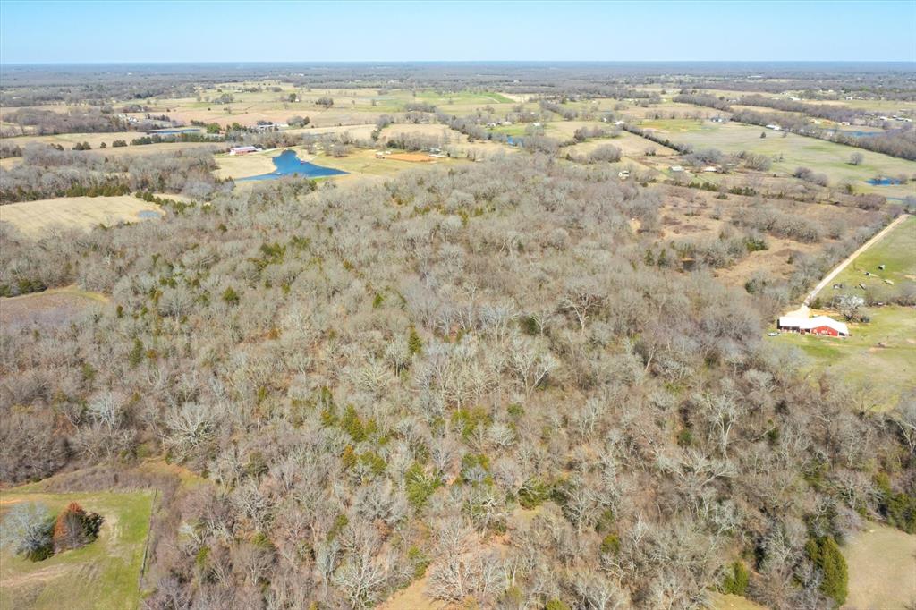 51.72+/- Acres Vz County Road 1121, Grand Saline, Texas image 16