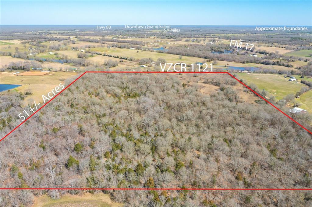 51.72+/- Acres Vz County Road 1121, Grand Saline, Texas image 2