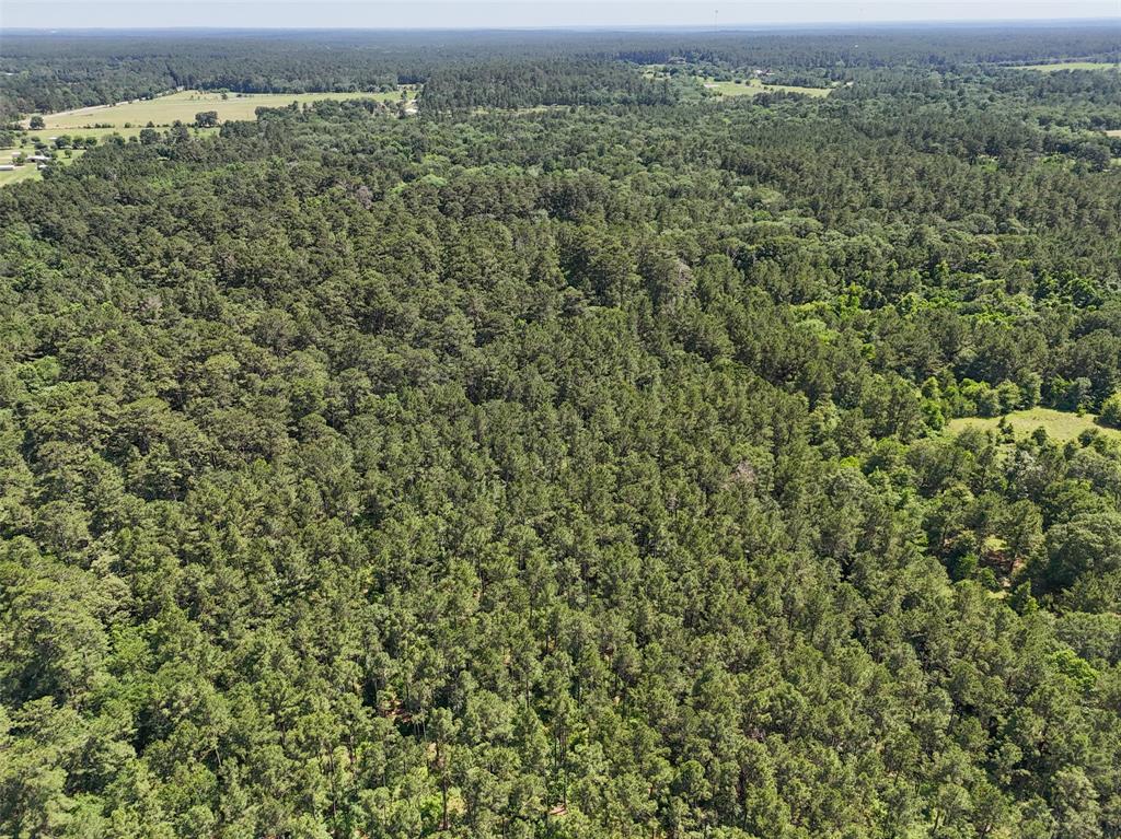 20435 Fm-1791, Richards, Texas image 10