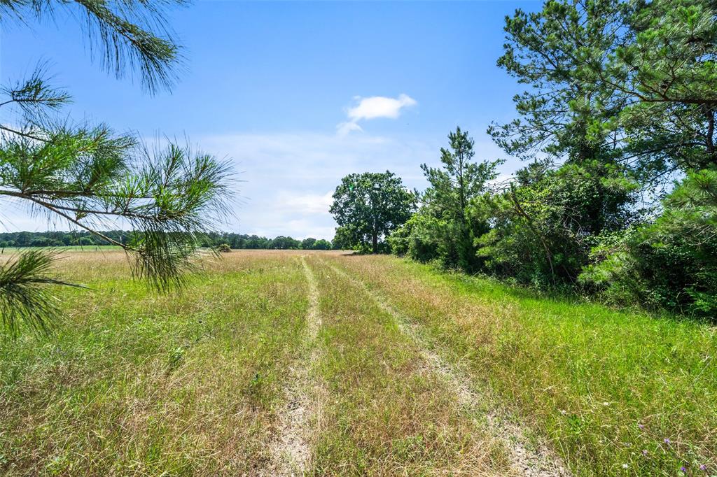 20435 Fm-1791, Richards, Texas image 2