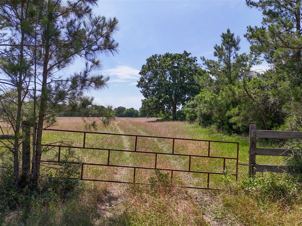 20435 Fm-1791, Richards, Texas image 19