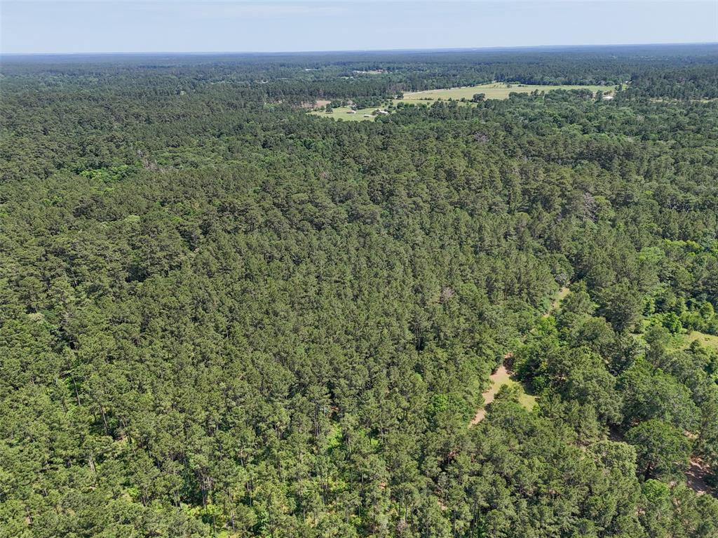 20435 Fm-1791, Richards, Texas image 15
