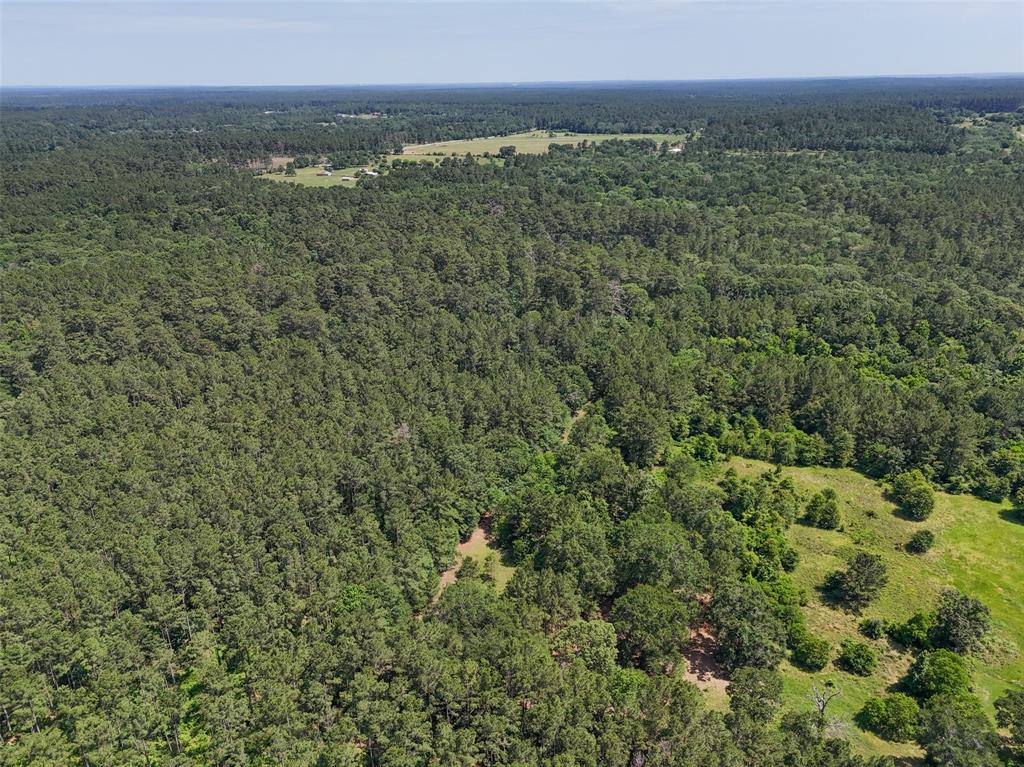 20435 Fm-1791, Richards, Texas image 17