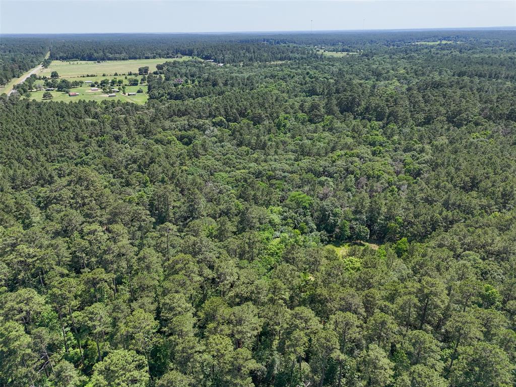 20435 Fm-1791, Richards, Texas image 18